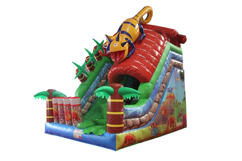 SDS021 Chameleon Slide Inflatable