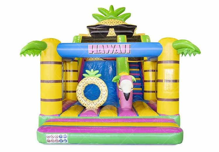 Budget Multi Slide Hawaii-1.jpg